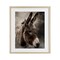 Stupell Industries All Ears Donkey Framed Print Under Glass, design by Robin-Lee Viera